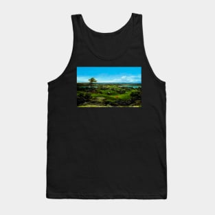 Rocks in New England Tank Top